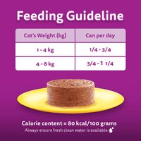 Whiskas Adult Cat Canned Food In Sardine 400g