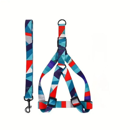 Dog Harness Set for Medium and Large Dog, Dog Webbing Leash, Dog Walking Leash