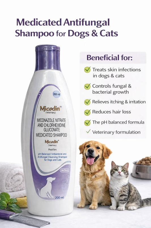 Micodin Medicated Anti Bacterial & Anti Fungal Shampoo For Dogs & Cats 200ml