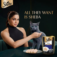 Sheba Premium Loaf Fine Wet Cat Food for Adult in Chicken 70g