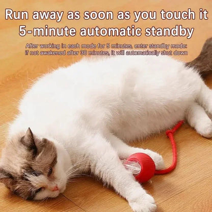 Cat Interactive Ball Cat Toy, Automatic Rolling Ball with Tail, Rechargeable Smart Pet Interactive Toy, Intelligent cat and mouse gam, No Warranty