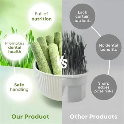 16pcs Cat Grass Teething Stick Jar set with Chicken Flavor, Cat Kittens Hairball Removal, Natural Dried Cat Grass for Cat Dental Care  (120g)