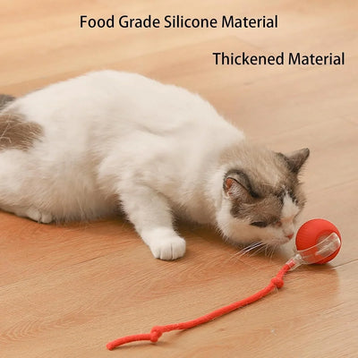 Cat Interactive Ball Cat Toy, Automatic Rolling Ball with Tail, Rechargeable Smart Pet Interactive Toy, Intelligent cat and mouse gam, No Warranty