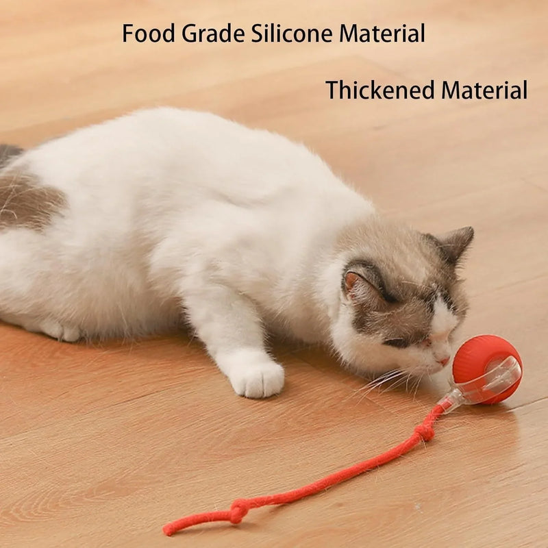 Cat Interactive Ball Cat Toy, Automatic Rolling Ball with Tail, Rechargeable Smart Pet Interactive Toy, Intelligent cat and mouse gam, No Warranty