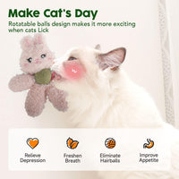 Cat Toy, Cat Toy with Catnip, Realistic and Cute Animal Characters, Multiple Choices Cats, Cat Toy to Relieve Boredom