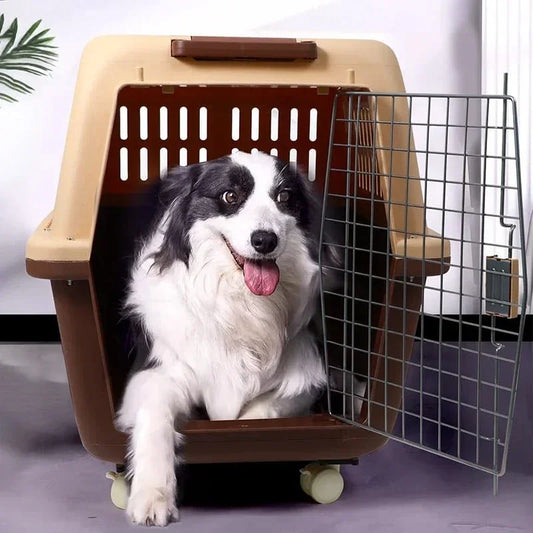 Airline Approved Transportation Trolley-type Largest Sized Carrier Box for Dog & Animal Dog Carry Cage Only for Pickup From Dhanmondi Store