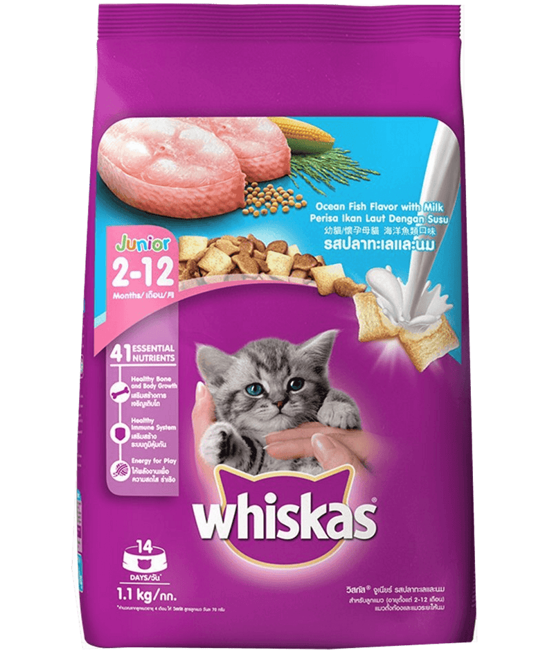 Whiskas Kitten Cat Food Junior Ocean Fish  (2-12 Months) 1.1kg