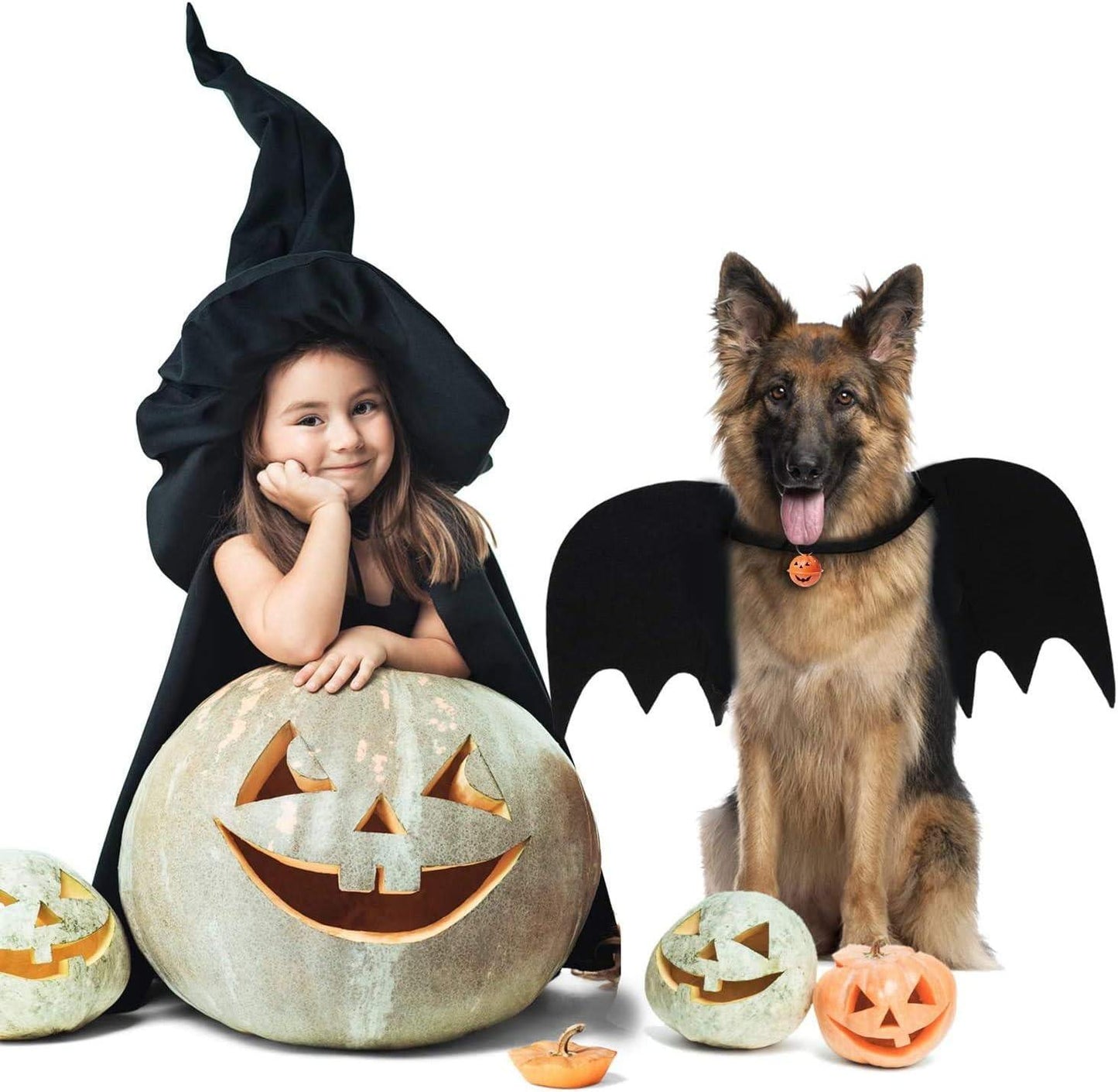 Bat Cat Wings Costume, Small, Black Felt, for Dogs & Cats, Halloween Pet Apparel Bat Wings, Straps for Easy Fit