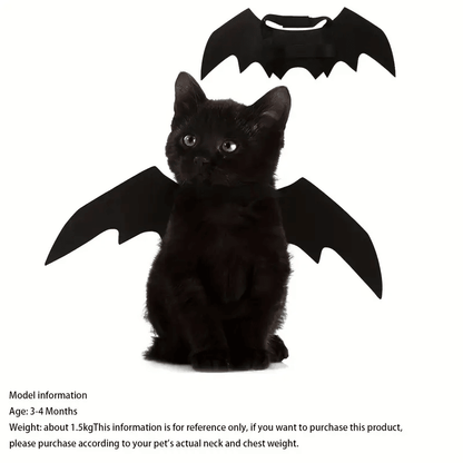 Bat Cat Wings Costume, Small, Black Felt, for Dogs & Cats, Halloween Pet Apparel Bat Wings, Straps for Easy Fit