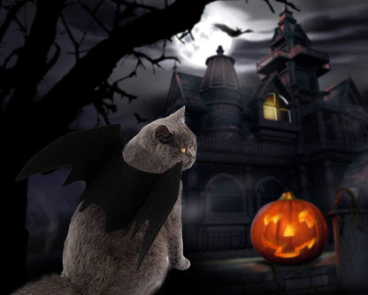 Bat Cat Wings Costume, Small, Black Felt, for Dogs & Cats, Halloween Pet Apparel Bat Wings, Straps for Easy Fit