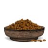 Jungle_Adult_Dry_Cat_Food