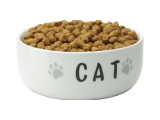 cat-food-hello