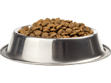 dog-food