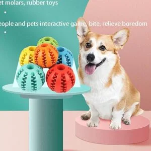 Dog Toys Educational Teeth Grinding Golden Retriever Corgi Boredom Relief Pet Puppy Rubber Elastic Ball Toy