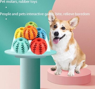 Dog Toys Educational Teeth Grinding Golden Retriever Corgi Boredom Relief Pet Puppy Rubber Elastic Ball Toy