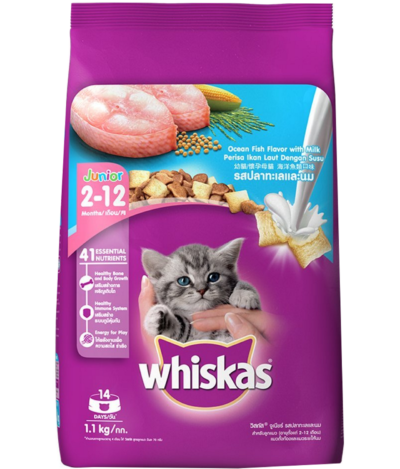 whiskas junior