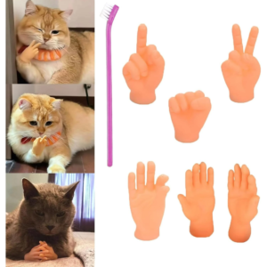 cat_hand