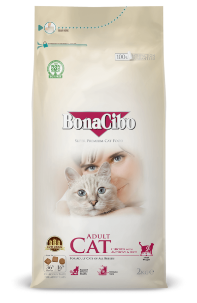 Bonacibo Adult Cat