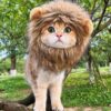 lion_hat