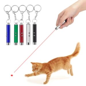 Cat_Laser-Pointer_Toy