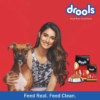 Drools-Chicken-and-Egg-Adult-Dog-Food_-10kg-_1kg-free