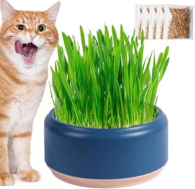 Hydroponic Cat Grass Planter Kit, Pet Cat Grass Growing Planter Box Cat Grass Sprouter, Soilless Culture Cat Grass Cup, Cat Grass Seed Sprout Trays, Easy to Plant