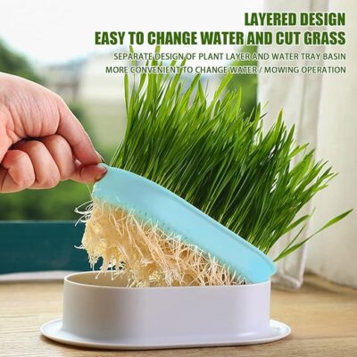 Hydroponic Grass Tray Cat Grass Germination Tray, Seed Tray Germination Tray, Seed Sprouter Tray, Planter Hydroponics Seed Sprouter, Soil-Free Seed Sprouter