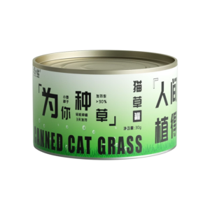 cat-canned-cat-grass-plant