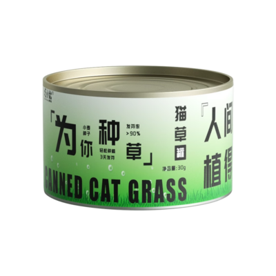 cat-canned-cat-grass-plant