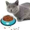 Cat Bowls for Food and Water Cat Dishes Stainless Steel PET Food Bowls 7 oz Anti Slip Metal PET Bowl with Removable Rubber Base Thicken Cat Feeding Bowl for Indoor Pets Kitten Small Dogs